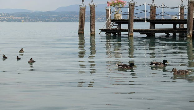 Sirmione Peninsula Speed Boat Tour - Photo 4