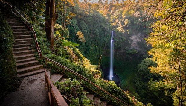 Escursione privata alle piantagioni del tè e alla cascata Cimachi - Foto 4