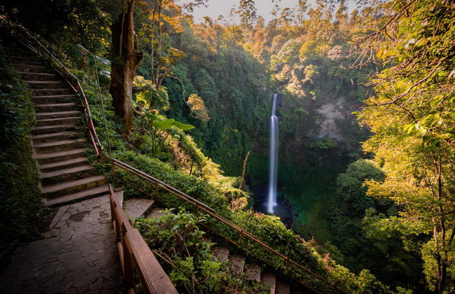 Excursion privée aux plantations de thé et à la cascade Cimahi - Photo 4