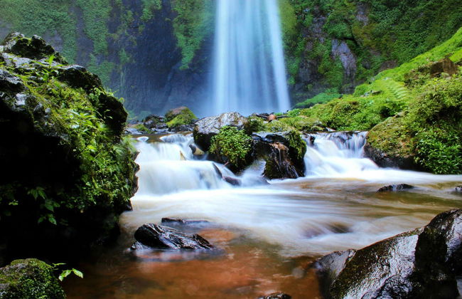 Excursion privée aux plantations de thé et à la cascade Cimahi - Photo 1