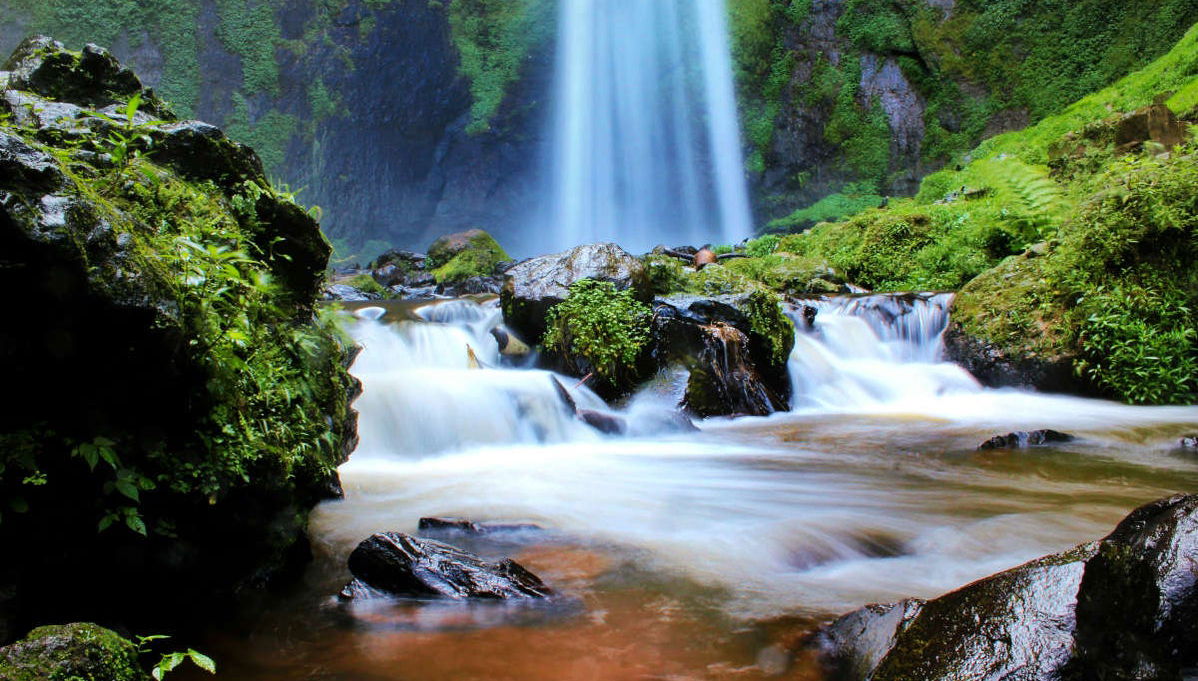 Escursione privata alle piantagioni del tè e alla cascata Cimachi - Foto 1