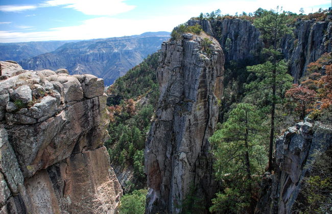 Circuit de 5 jours de Chihuahua à El Fuerte à bord du train Chepe - Photo 6
