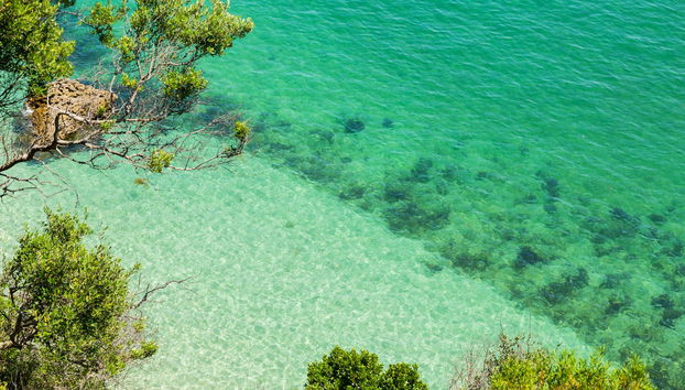 Sesimbra Snorkel Board Experience - Foto 5