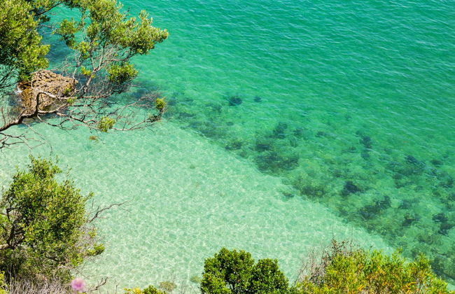 Snorkel board en Sesimbra - Foto 5