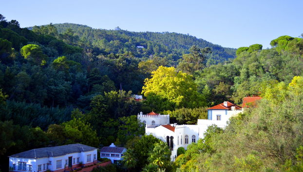 Excursão a Silves e Caldas de Monchique - Foto 3