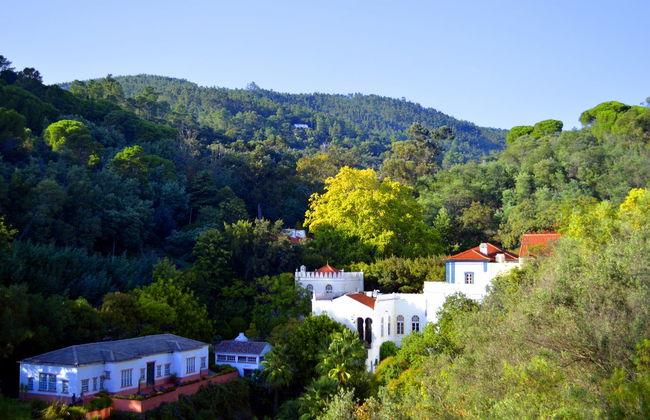 Excursão a Silves e Caldas de Monchique - Foto 3
