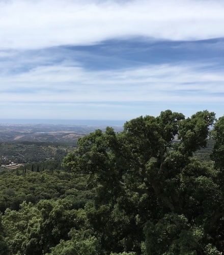 Bild - Silves and Caldas de Monchique Tour