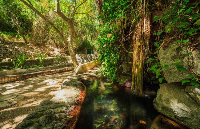 Excursão a Silves e Caldas de Monchique - Foto 7