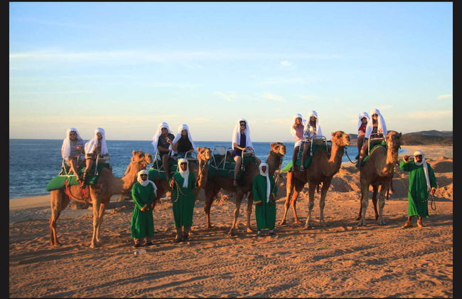 Paseo en camello por el desierto de Los Cabos - Foto 4