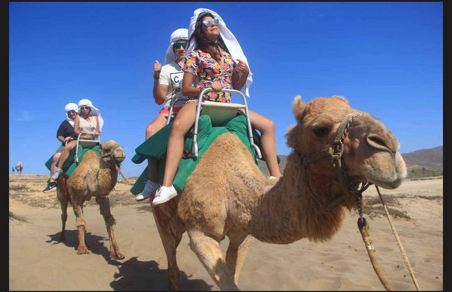 Paseo en camello por el desierto de Los Cabos - Foto 2