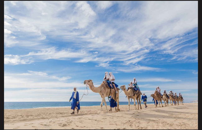 Paseo en camello por el desierto de Los Cabos - Foto 1