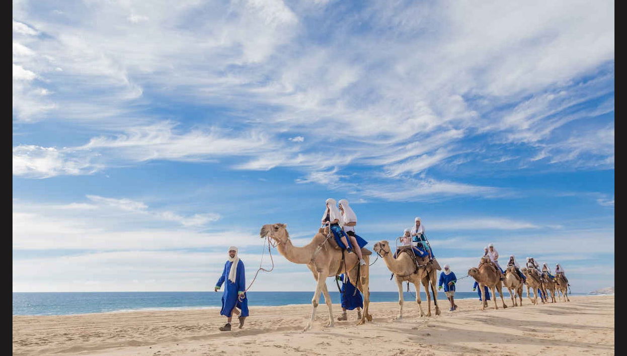 Camel Ride in the Los Cabos Desert - Photo 1