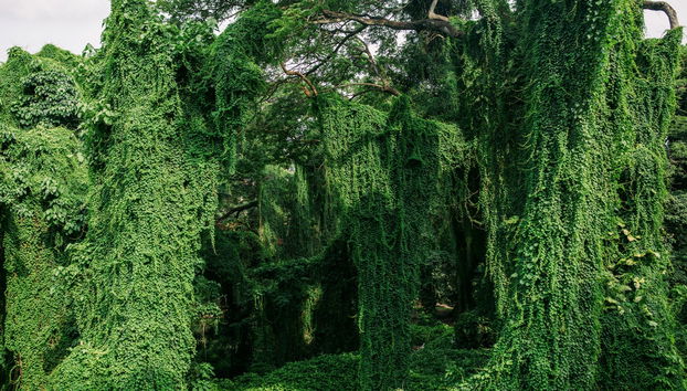 Havana Complete Tour - Photo 4