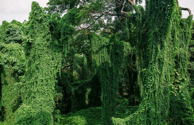 Havana Complete Tour - Photo 4