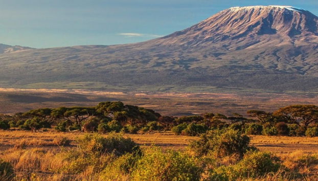 Day Trip to Mount Kilimanjaro - Photo 4