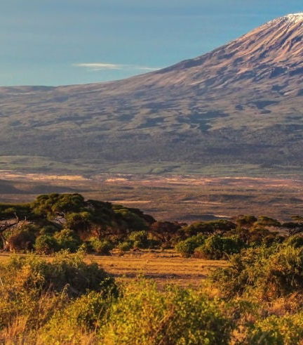 Foto - Excursão ao Kilimanjaro