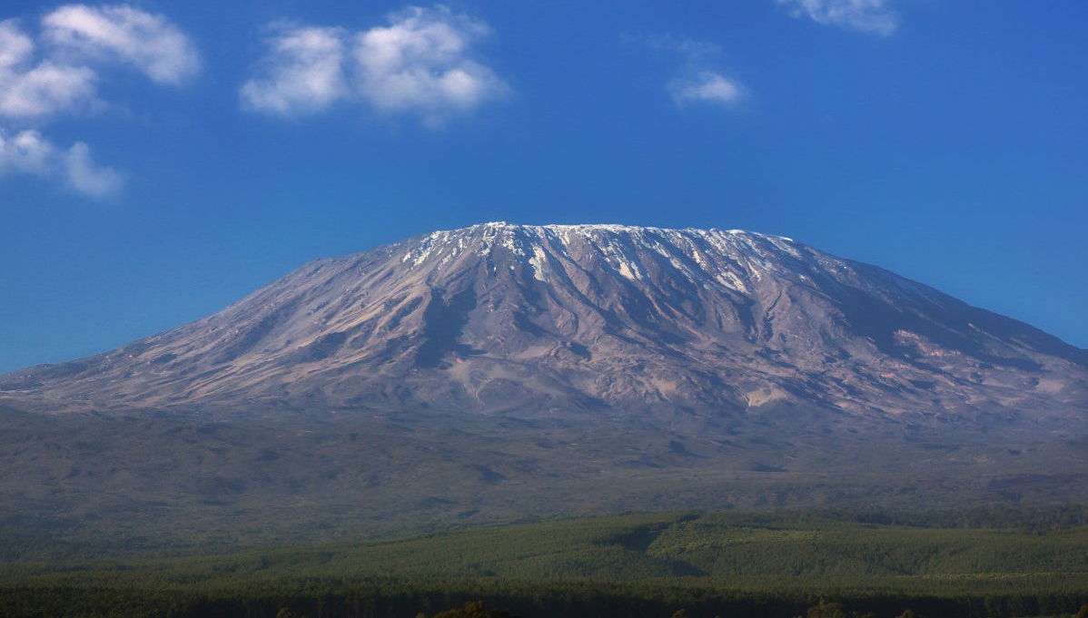 Day Trip to Mount Kilimanjaro - Photo 1