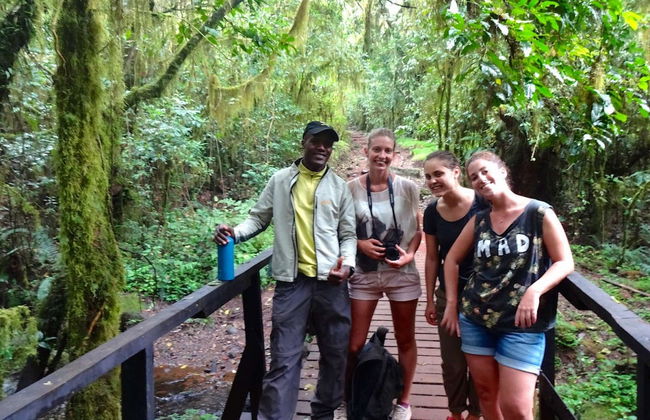 Day Trip to Mount Kilimanjaro - Photo 2