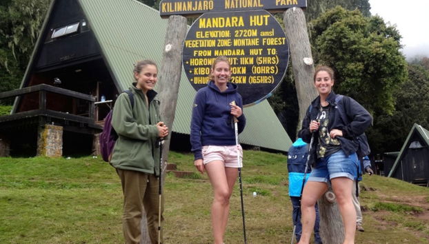 Day Trip to Mount Kilimanjaro - Photo 3
