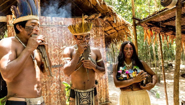 Amazon Jungle Three Day Tour - Foto 5