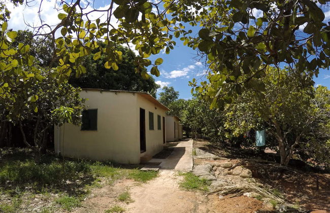 Amazon Jungle Three Day Tour - Foto 6