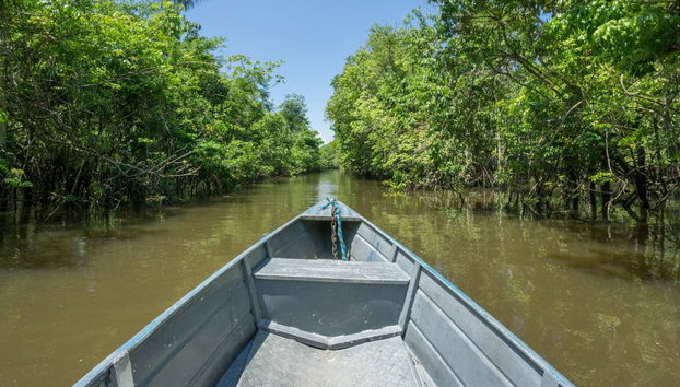 Amazon Jungle Three Day Tour - Foto 3