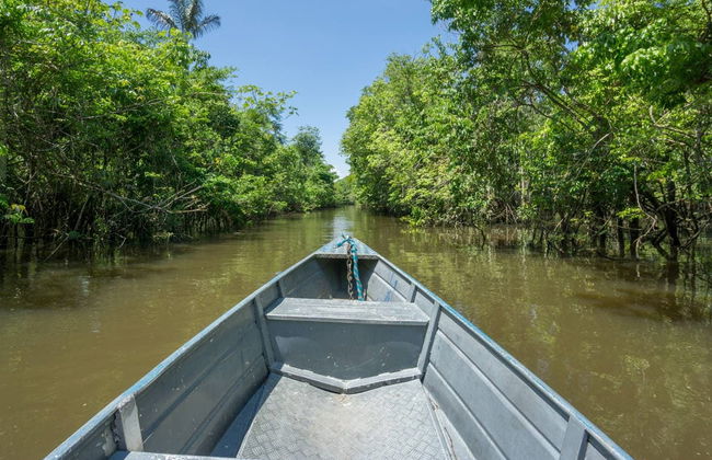 Amazon Jungle Three Day Tour - Foto 3