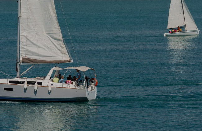 Paseo en barco por la bahía de Torrevieja - Foto 7