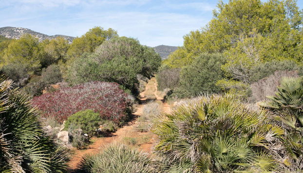 Senderismo por la Sierra de Irta - Foto 2