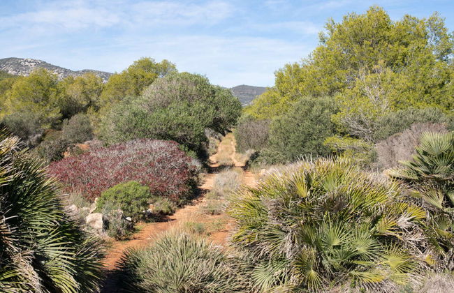 Randonnée dans la Sierra d'Irta - Photo 2