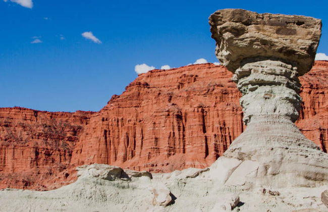 Excursión al Parque Provincial de Ischigualasto - Foto 3