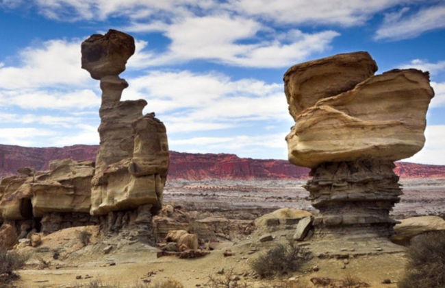 Excursión al Parque Provincial de Ischigualasto - Foto 2