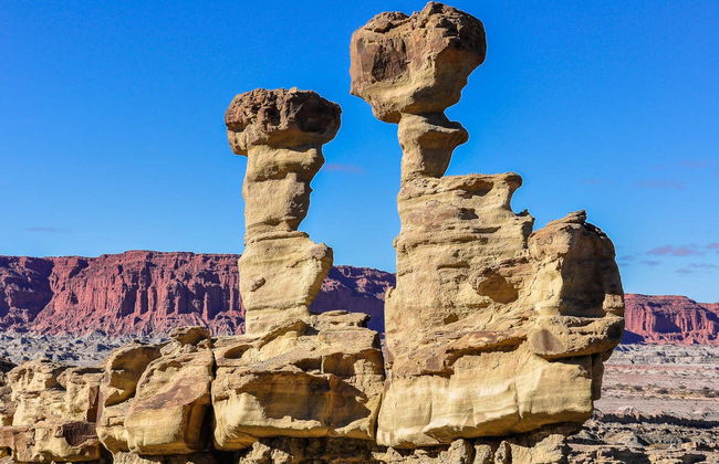Excursão ao Parque Provincial de Ischigualasto - Foto 1