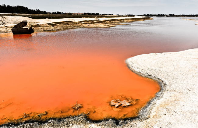 Excursión privada a la Reserva de Bandia y Lago Rosa - Foto 1