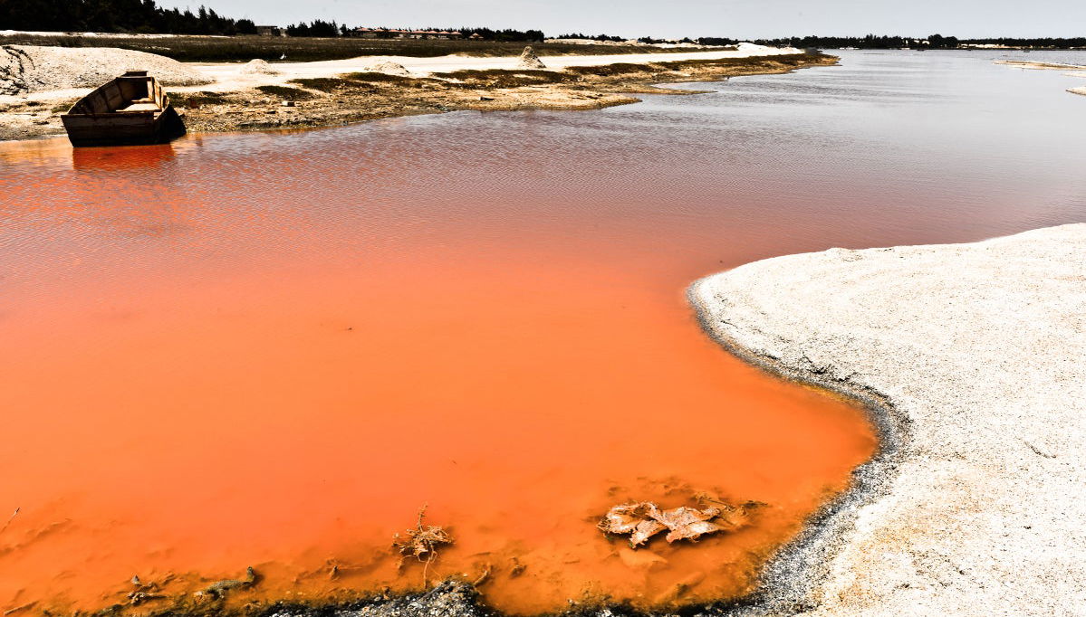 Excursión privada a la Reserva de Bandia y Lago Rosa - Foto 1