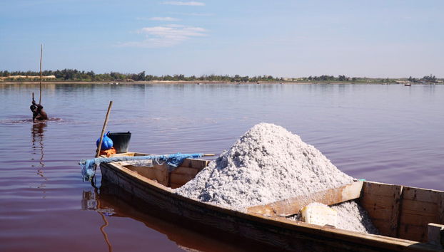 Excursión privada a la Reserva de Bandia y Lago Rosa - Foto 4