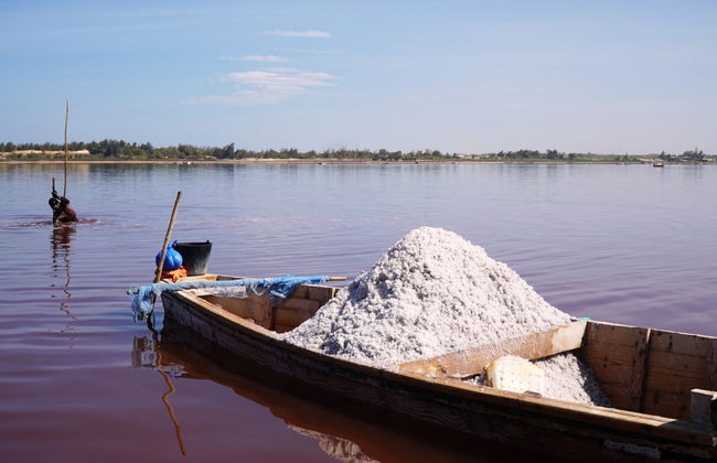 Excursión privada a la Reserva de Bandia y Lago Rosa - Foto 4
