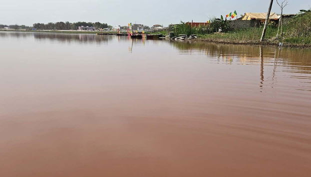 Excursión privada a la Reserva de Bandia y Lago Rosa - Foto 5