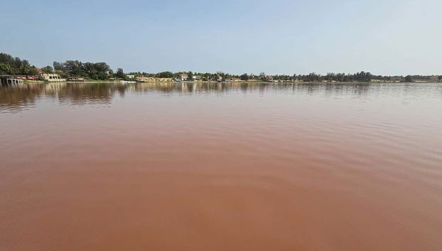 Excursion privée dans la réserve de Bandia et au lac rose - Photo 3