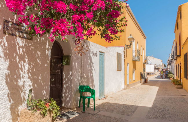 Escursione a Tabarca in barca - Foto 2