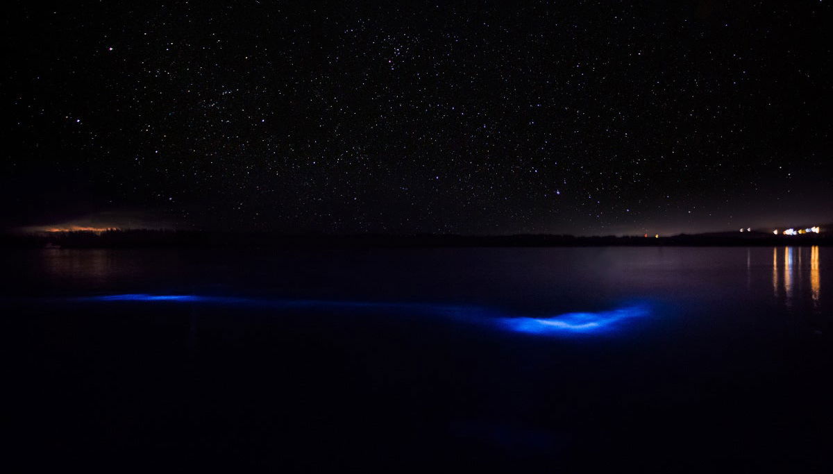 Paseo nocturno en barco por la Laguna Luminosa - Foto 1