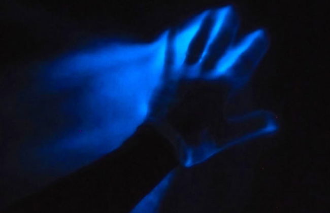 Paseo nocturno en barco por la Laguna Luminosa - Foto 3