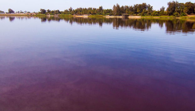 Excursión privada al Lago Rosa - Foto 2