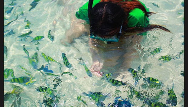 Excursion aux îles Hong en bateau à moteur - Photo 3