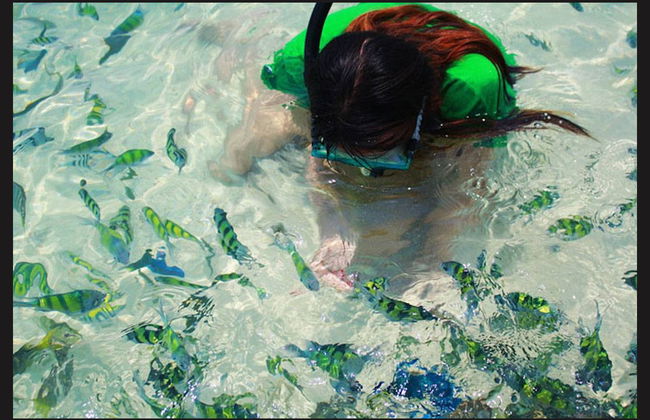 Hong Islands Speedboat Tour - Photo 3