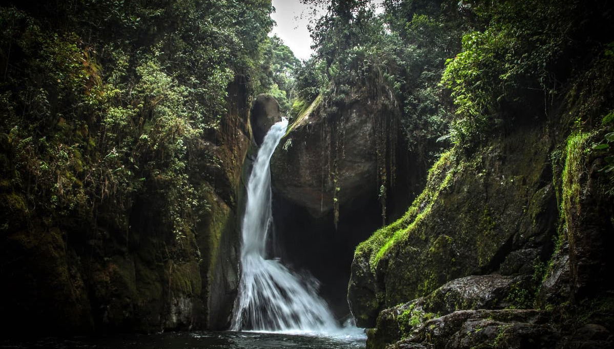 Rafting dans la rivière Savegre - Photo 1