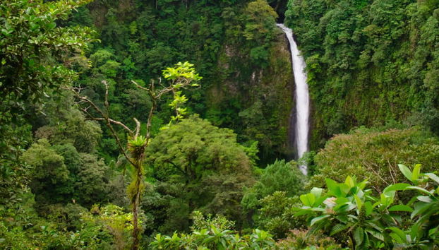 Escursione alla cascata La Fortuna e al vulcano Arenal - Foto 4