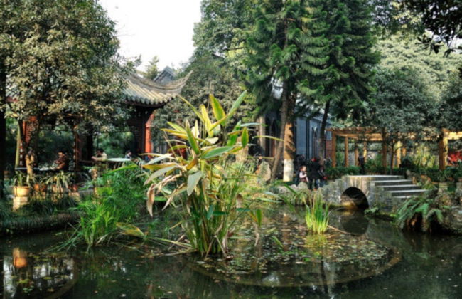 Private Tour of Chengdu & Panda Base - Photo 4