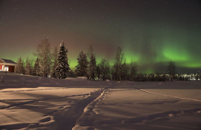 Northern Lights Snowmobile Tour - Photo 2
