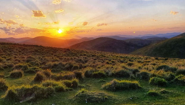Berrea del ciervo en el Alto Pirineo - Photo 4